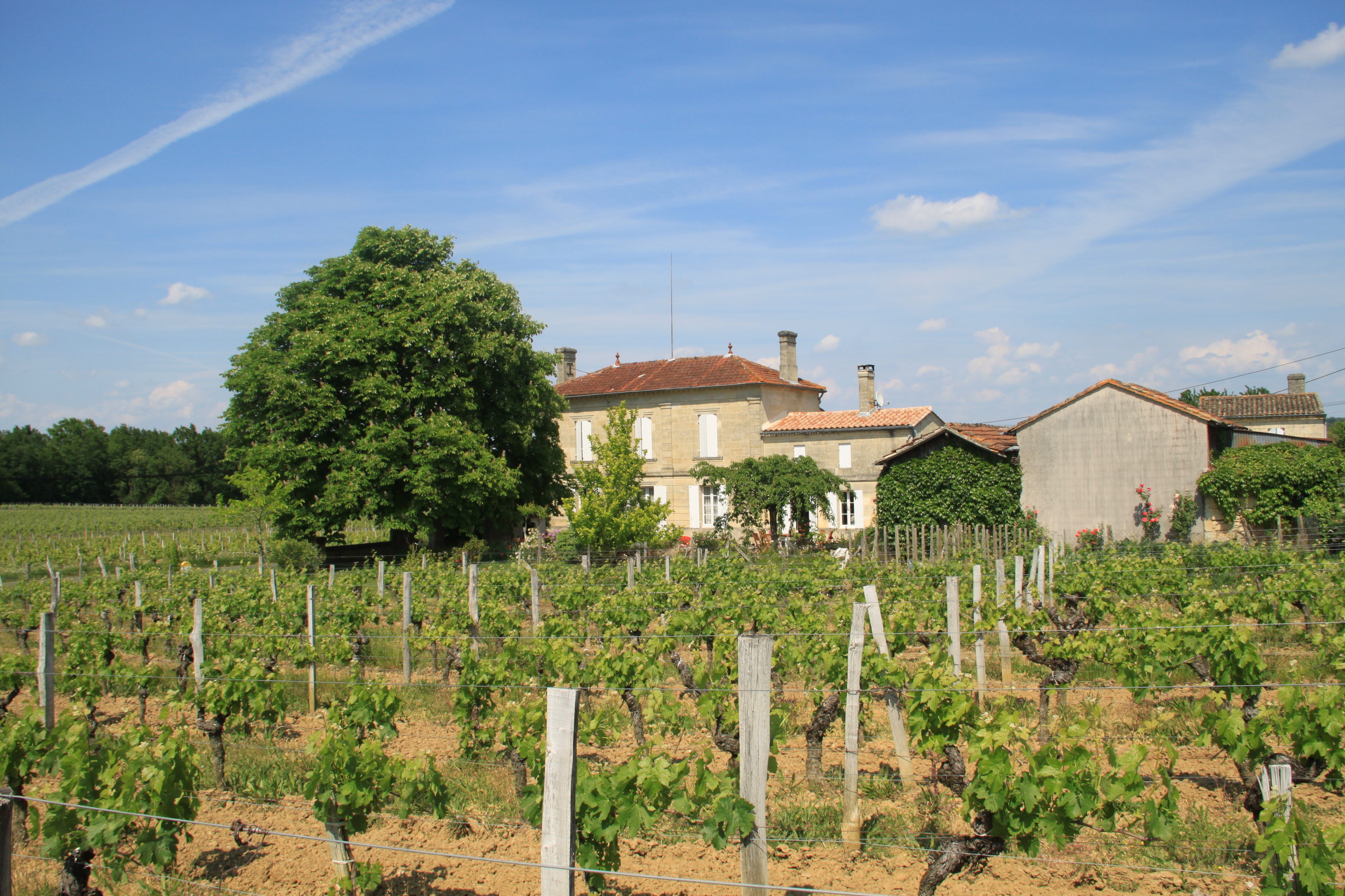 chateau robin